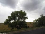 Широке з panoramio.com