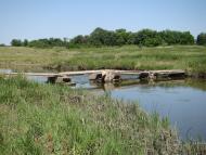 Лісова Лисіївка з panoramio.com