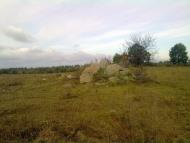 Вересівка з panoramio.com