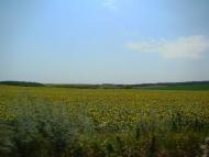 Баландине з panoramio.com