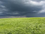 Коржова з panoramio.com