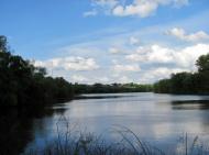 Грабовське з panoramio.com