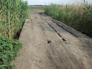 Маївка з panoramio.com