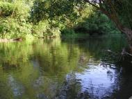 Сокиринці - Останні фото