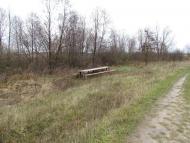 Сиваківці з panoramio.com