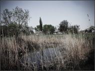 Скибинці з panoramio.com