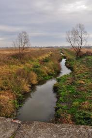 Липиці з panoramio.com