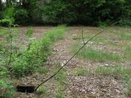 Рижів з panoramio.com