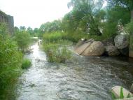 Несолонь - Останні фото