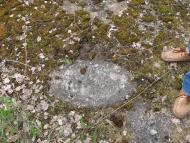 Рижів з panoramio.com