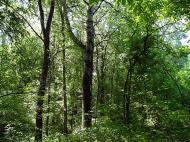 Вельбівка з panoramio.com