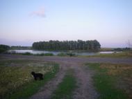 В'язова - Останні фото