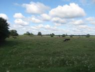 Дітинець з panoramio.com