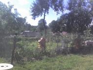 Данилівці з panoramio.com