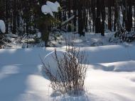 Романків з panoramio.com