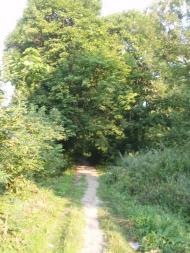 Краснопіль з panoramio.com