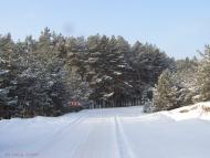 Десна з panoramio.com