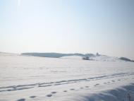 Dolishnye Zaluchchya - Latest photos