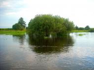 Несолонь з panoramio.com