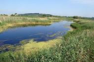 Булгаківка з panoramio.com