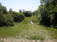 Слобода-Банилів з panoramio.com