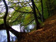 Кровинка з panoramio.com