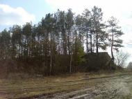 Гамаліївка з panoramio.com