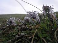 Інгульське з panoramio.com