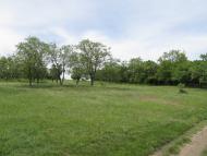 Макорти з panoramio.com