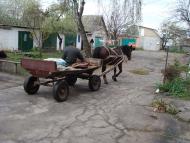 Трушки з panoramio.com