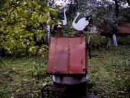 Краснопіль з panoramio.com