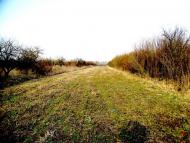 Ванчиківці з panoramio.com