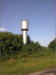 Лісконоги з panoramio.com