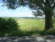 Малиничі з panoramio.com