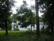 Вільха з panoramio.com