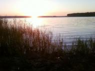 Макорти з panoramio.com