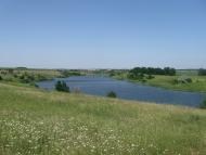 Жовте з panoramio.com