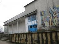 Подвір'ївка з panoramio.com