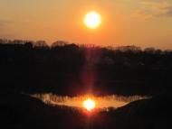 Сад з panoramio.com