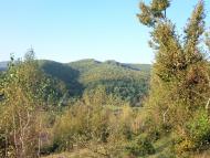 Туриця з panoramio.com