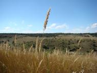 Аули з panoramio.com