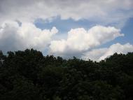 Оріхове з panoramio.com