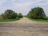 Липиці з panoramio.com