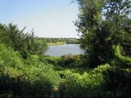 Селище з panoramio.com