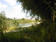 Великі Дмитровичі з panoramio.com