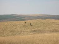 Микишівка з panoramio.com