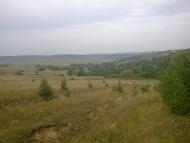 Квіткове з panoramio.com