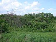 Оріхове з panoramio.com