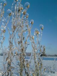 Волиця з panoramio.com