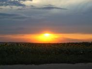 Кузнеці з panoramio.com